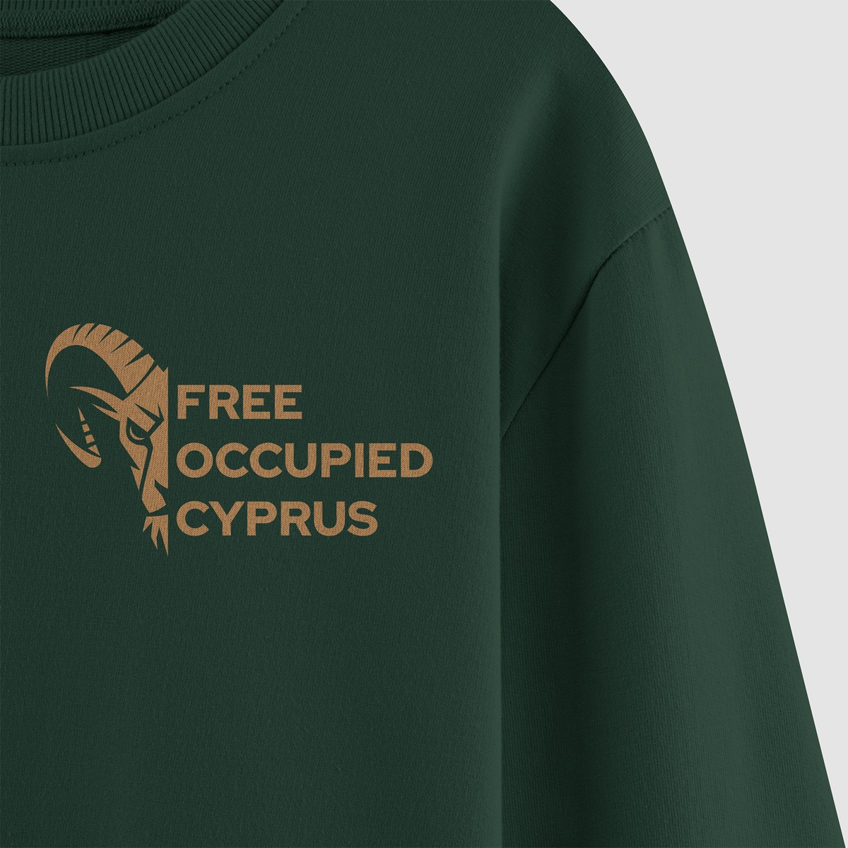 Free Occupied Cyprus — image 4